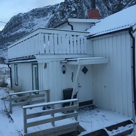 Vevika Lofoten *